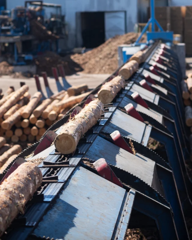 Our sawmill in Tibro has now officially changed its name to ESS-ENN Tibro, strengthening our brand identity and focus on high-quality, sustainable timber products. 🌲✨

#Sustainability #TimberProducts #ESSENNTimber